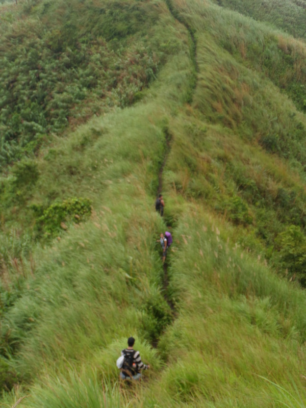Snake Trail, Mt. Batulao